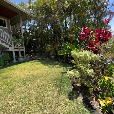 Private Ohana On The Lush Hamakua Coast With Ac Honokaa المظهر الخارجي الصورة