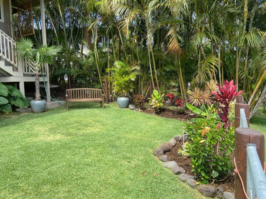 Private Ohana On The Lush Hamakua Coast With Ac Honokaa المظهر الخارجي الصورة