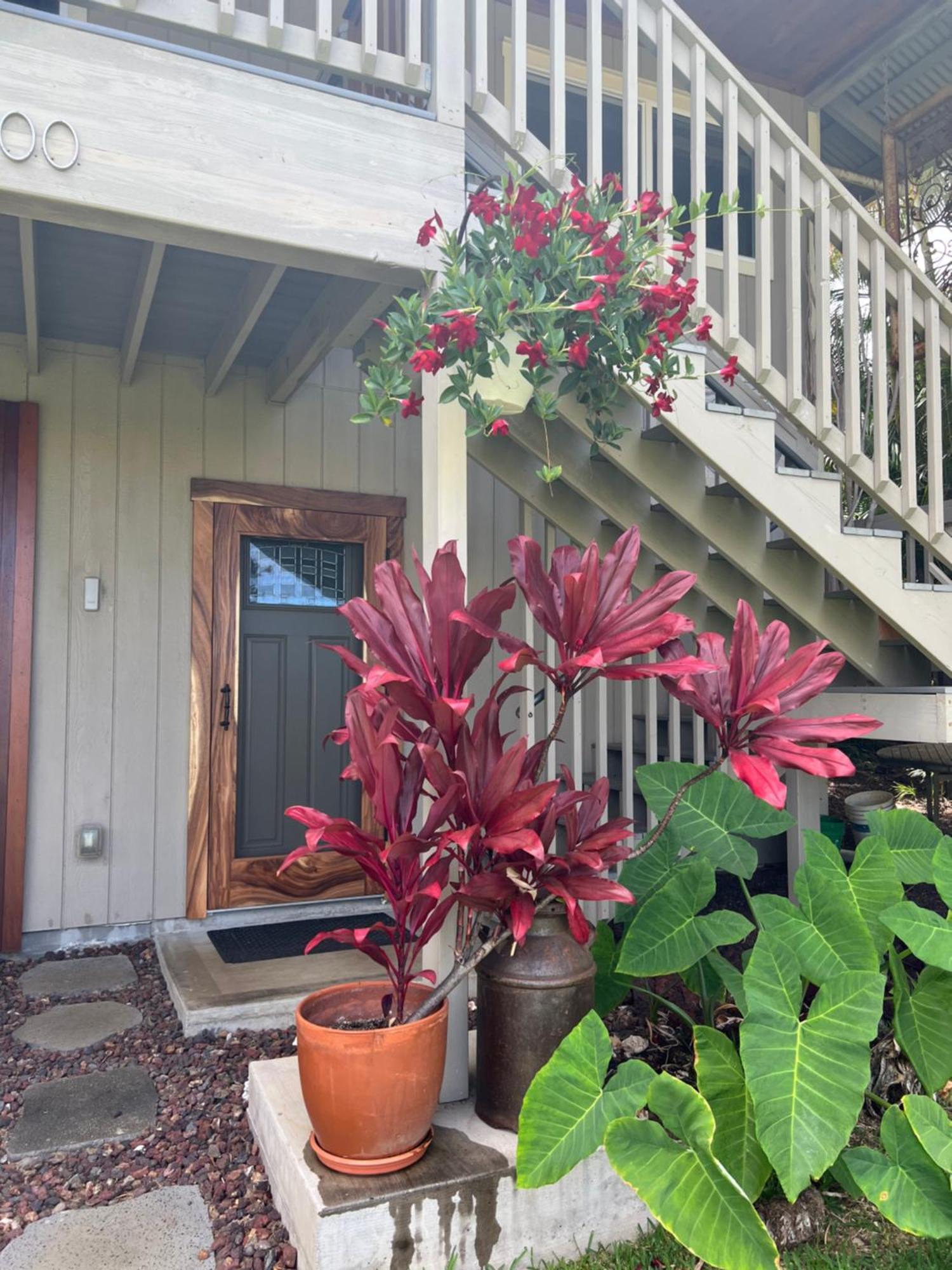 Private Ohana On The Lush Hamakua Coast With Ac Honokaa المظهر الخارجي الصورة