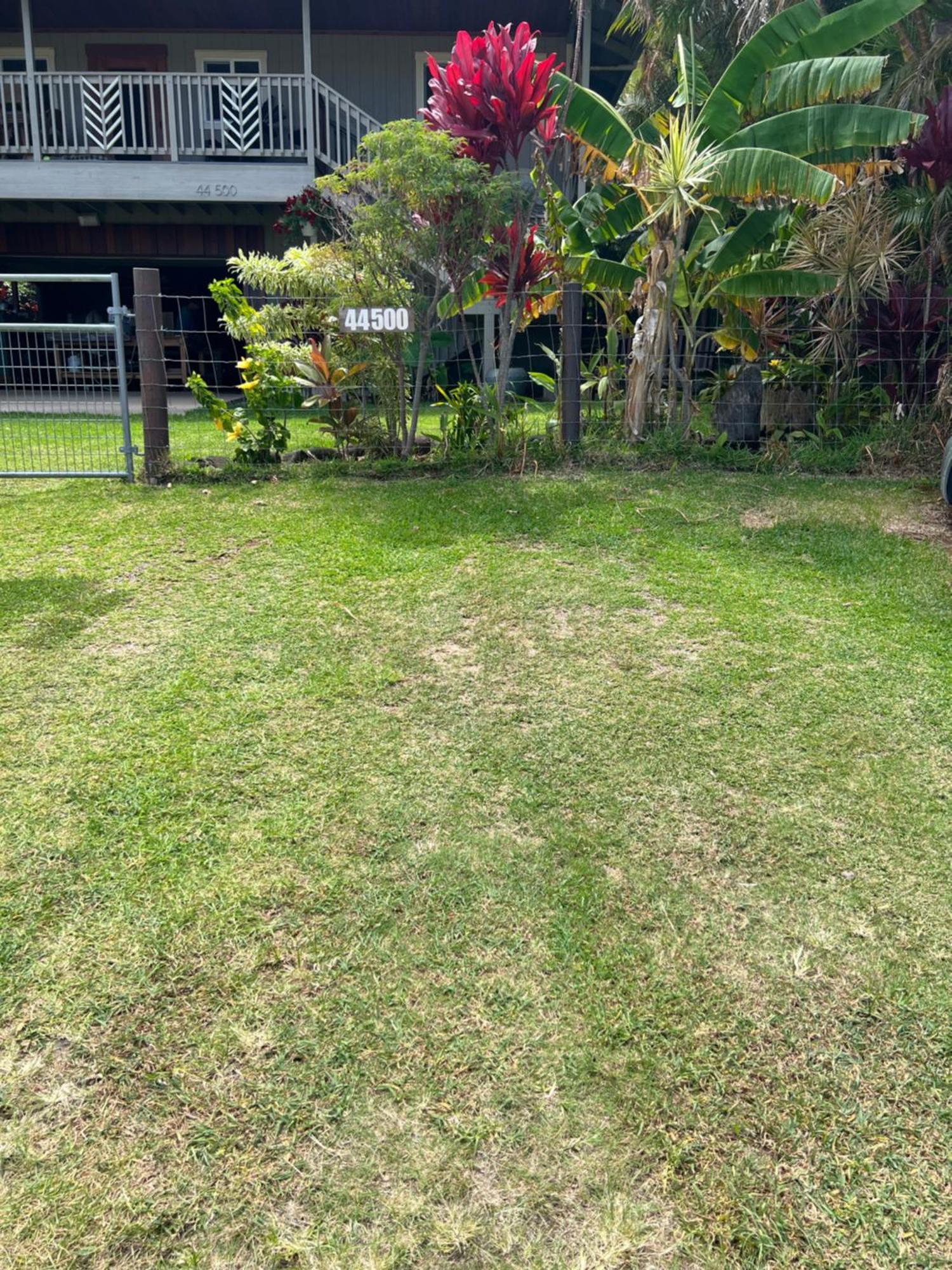 Private Ohana On The Lush Hamakua Coast With Ac Honokaa المظهر الخارجي الصورة