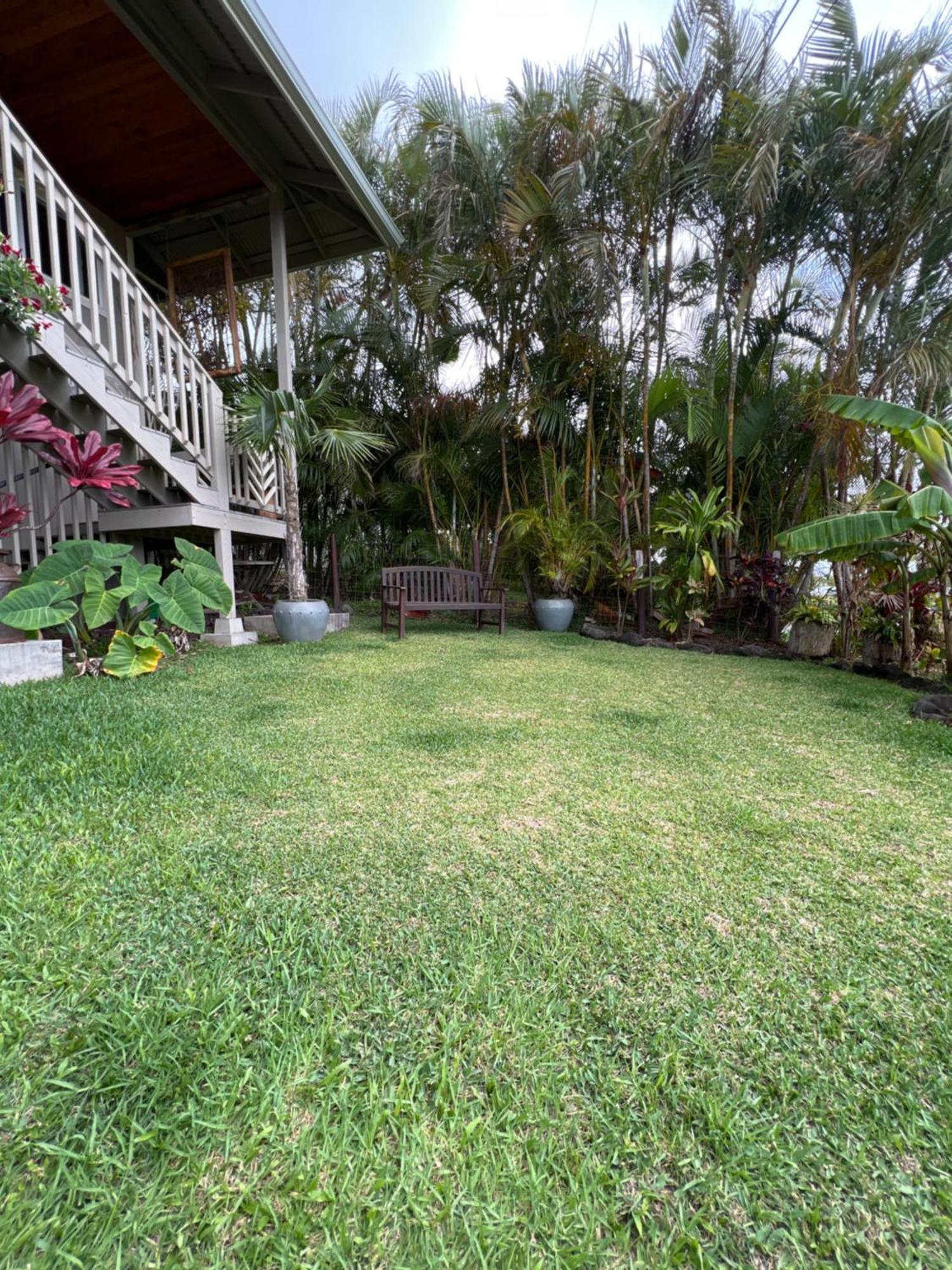 Private Ohana On The Lush Hamakua Coast With Ac Honokaa المظهر الخارجي الصورة